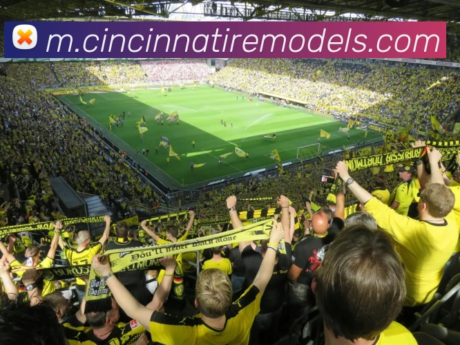 平台展示图